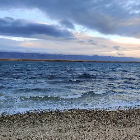 Апартаменты Miskovic Вир